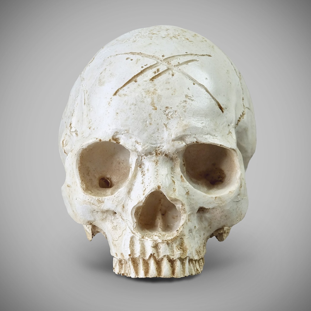 WHITE SKULL