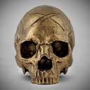 GOLD SKULL