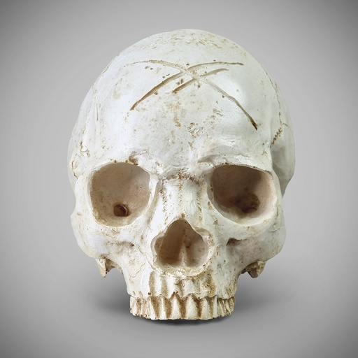 [SKULL-WHITE] WHITE SKULL